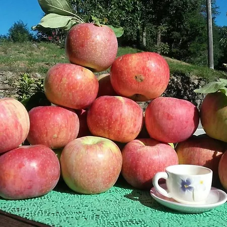 Il Poggio Di Traverde